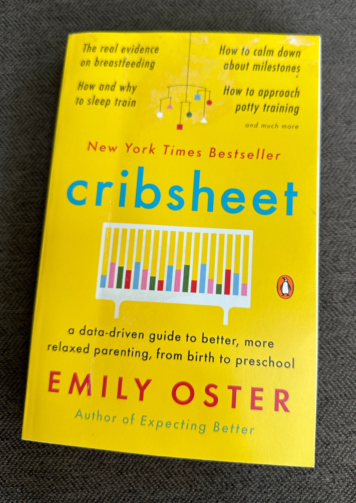 Cribsheet book