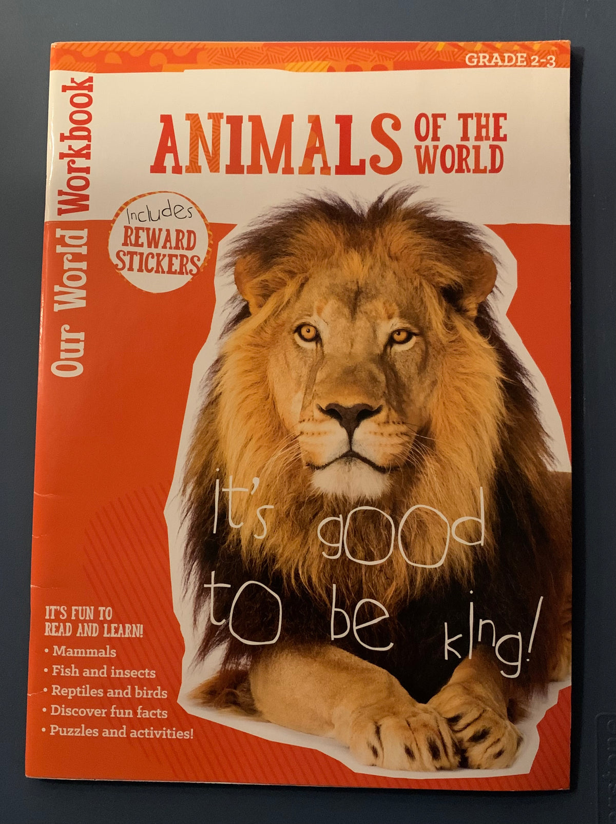 Animal workbook
