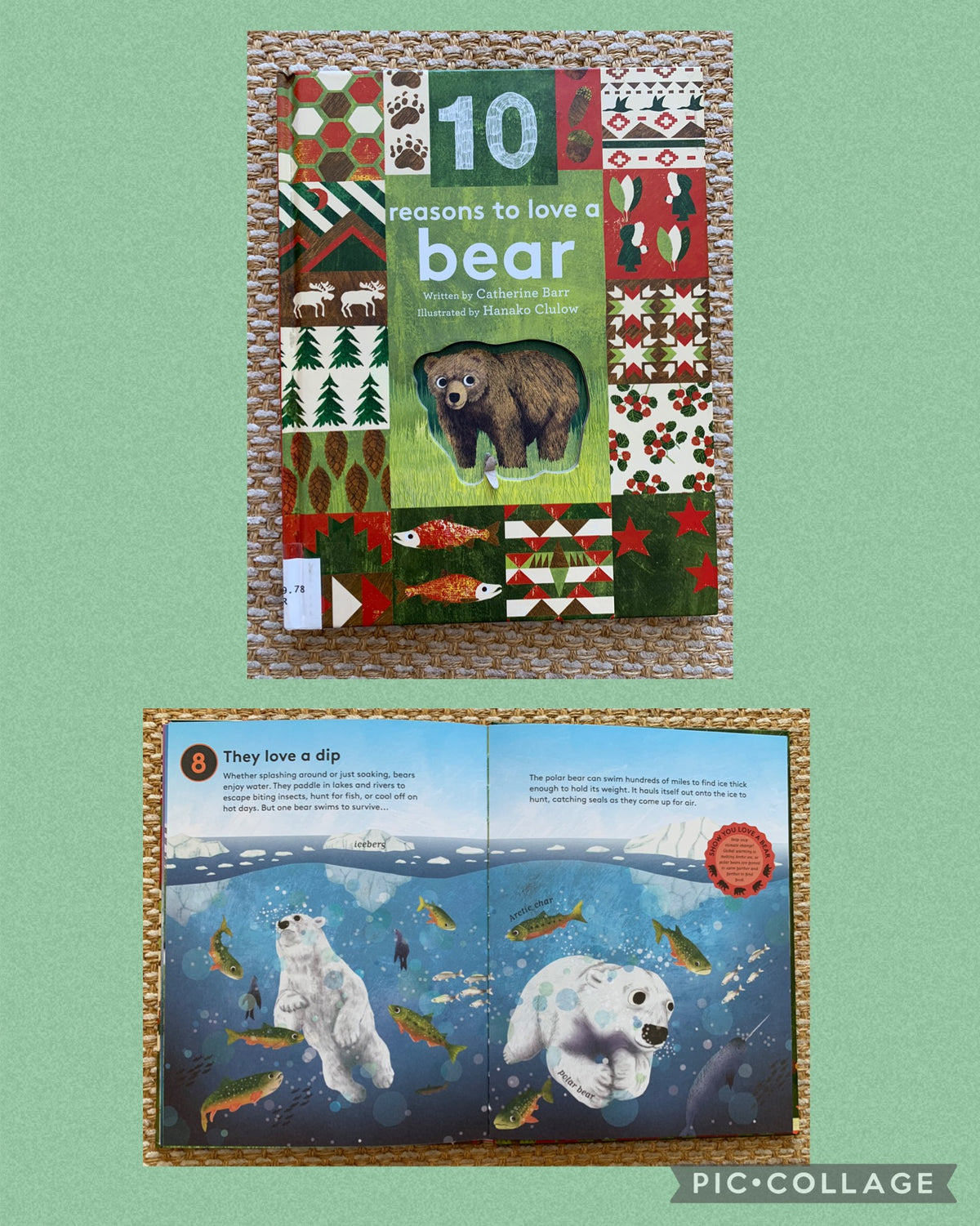 10 reason to love bears Approx 1st-3rd grd info