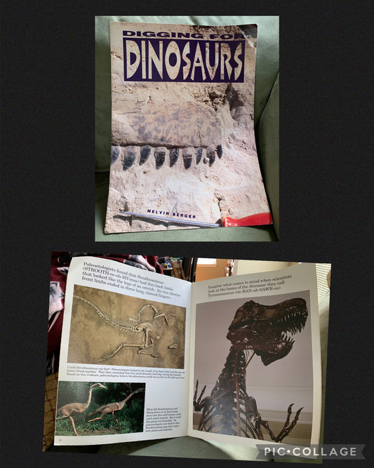Dinosaur oversized book 16p, great for a teacher
