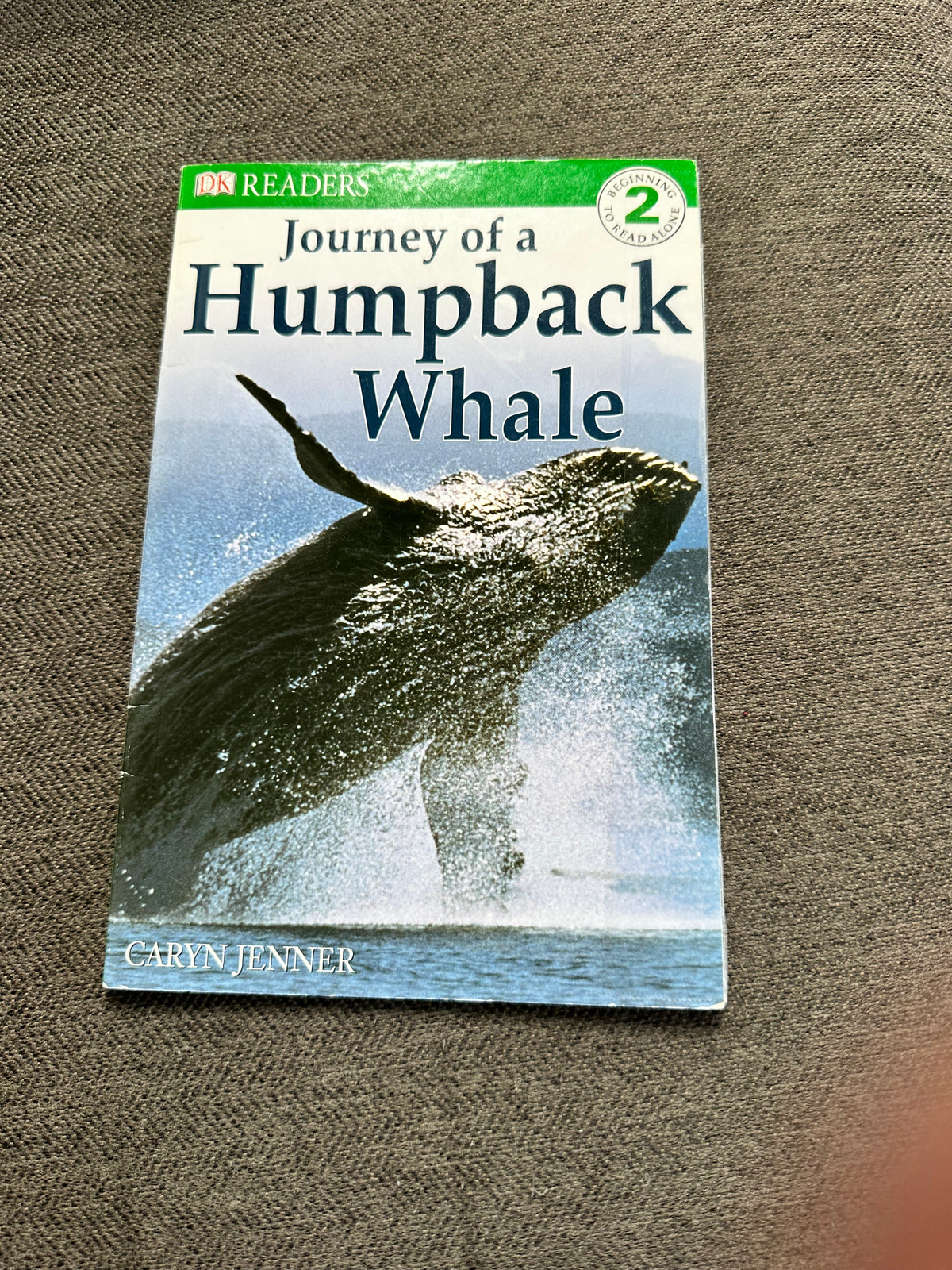 Humpback whales lev 2