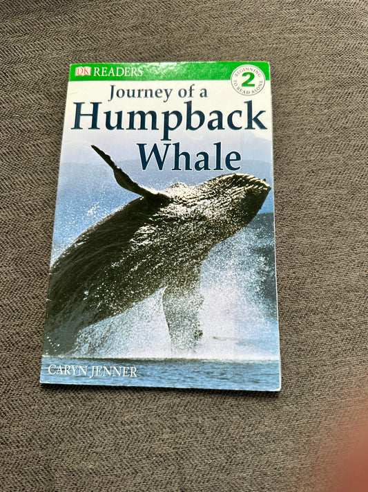 Humpback whales lev 2