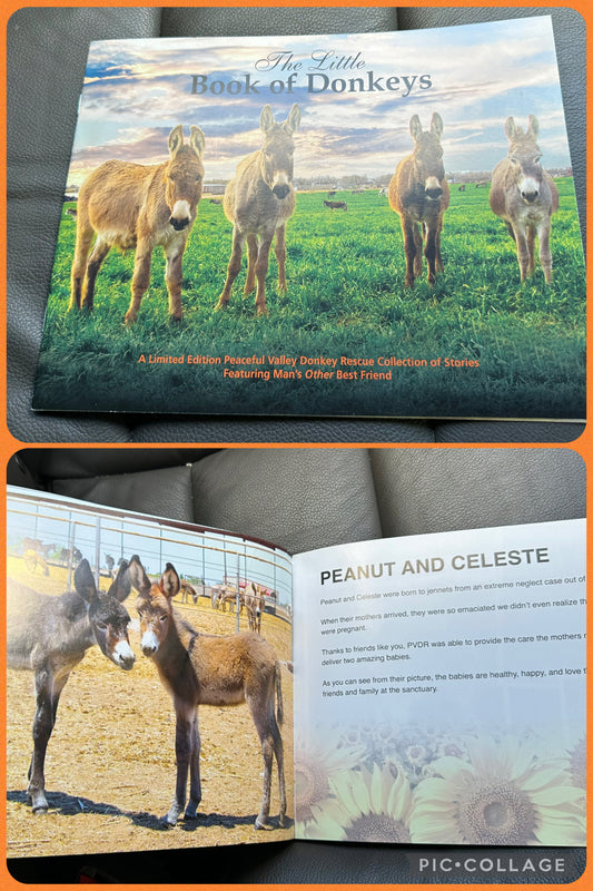 Donkey book EUC Animal kindness/ rescue