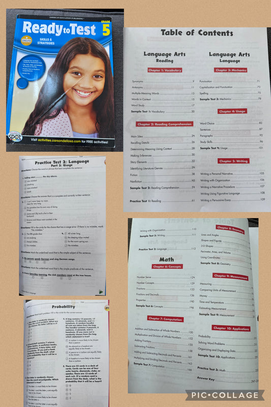 Ready to Test 5th grade 10 pgs used out of 246