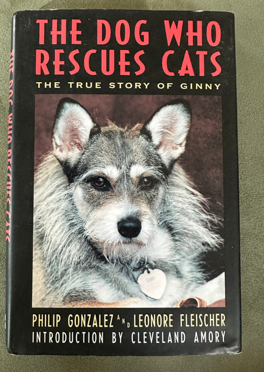 The dog who rescues cats Hardcover teen-adult