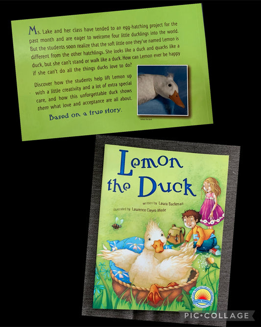 Award winning story Duck w/ disabilities