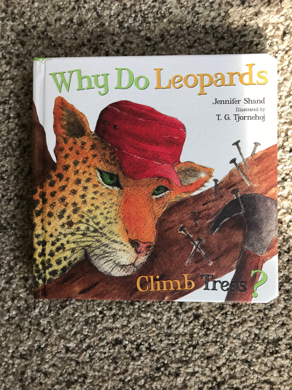 new Why do leopards board book