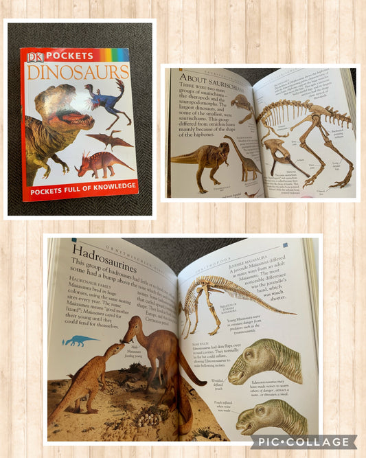 Dinosaur pocket book 150 pg information with
