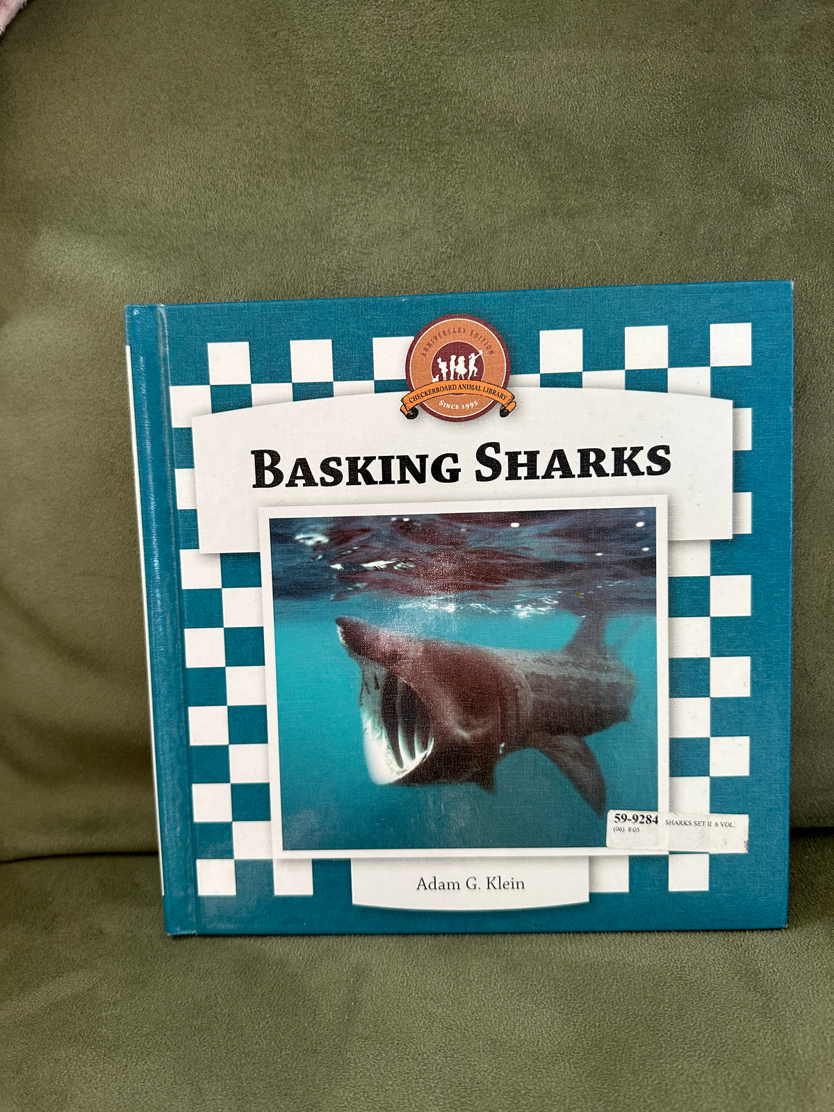 Basking sharks Mid elementary level