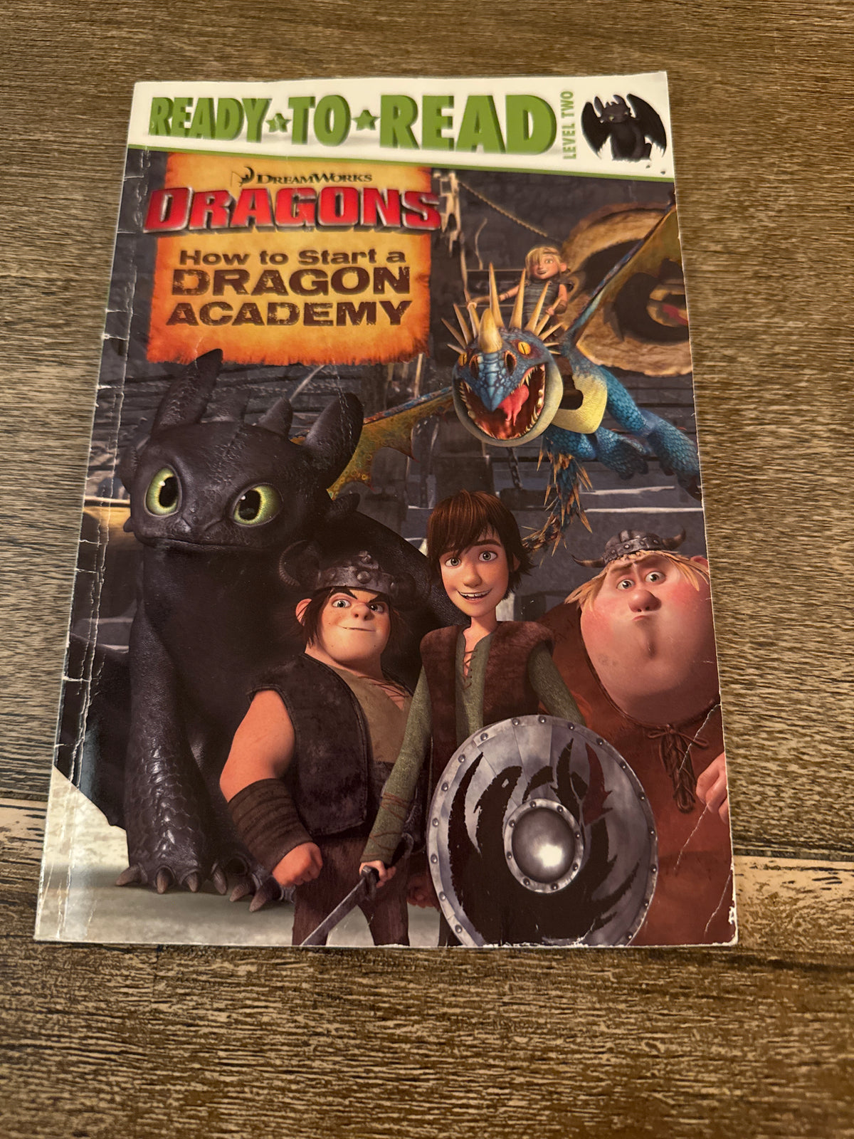 How to train a dragon Level 2 reader