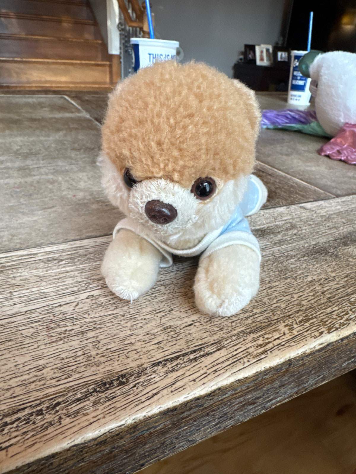 Jiff Pom stuffed animal Pomeranian dog