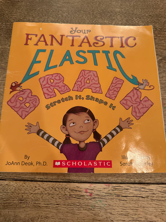 Fantastic Elastic Brain Learn about your brain