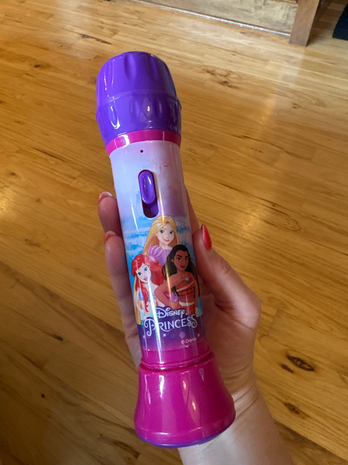 Single Microphone Disney Princess Theme