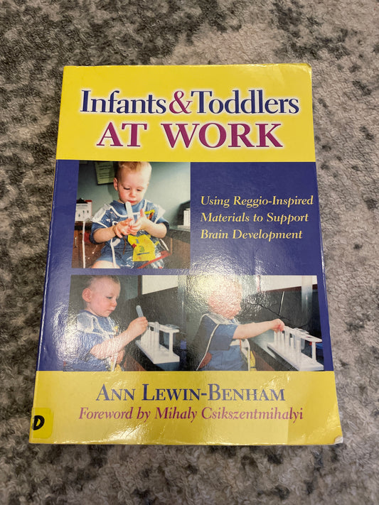 Reggio Childcare infant Toddler - textbook