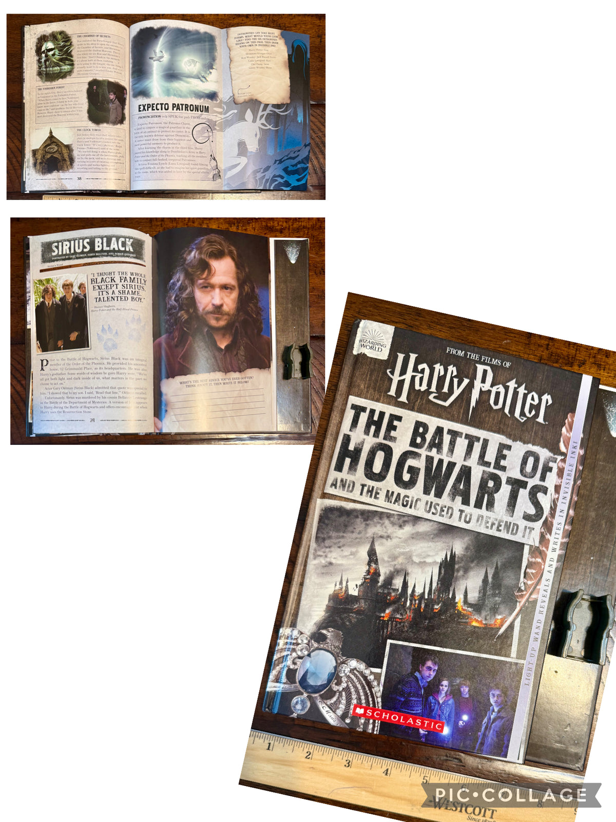 Harry Potter: the Battle of Hogwarts (no wand)