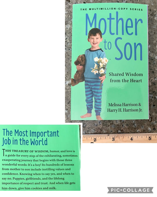 Mother to Son -Shared wisdom