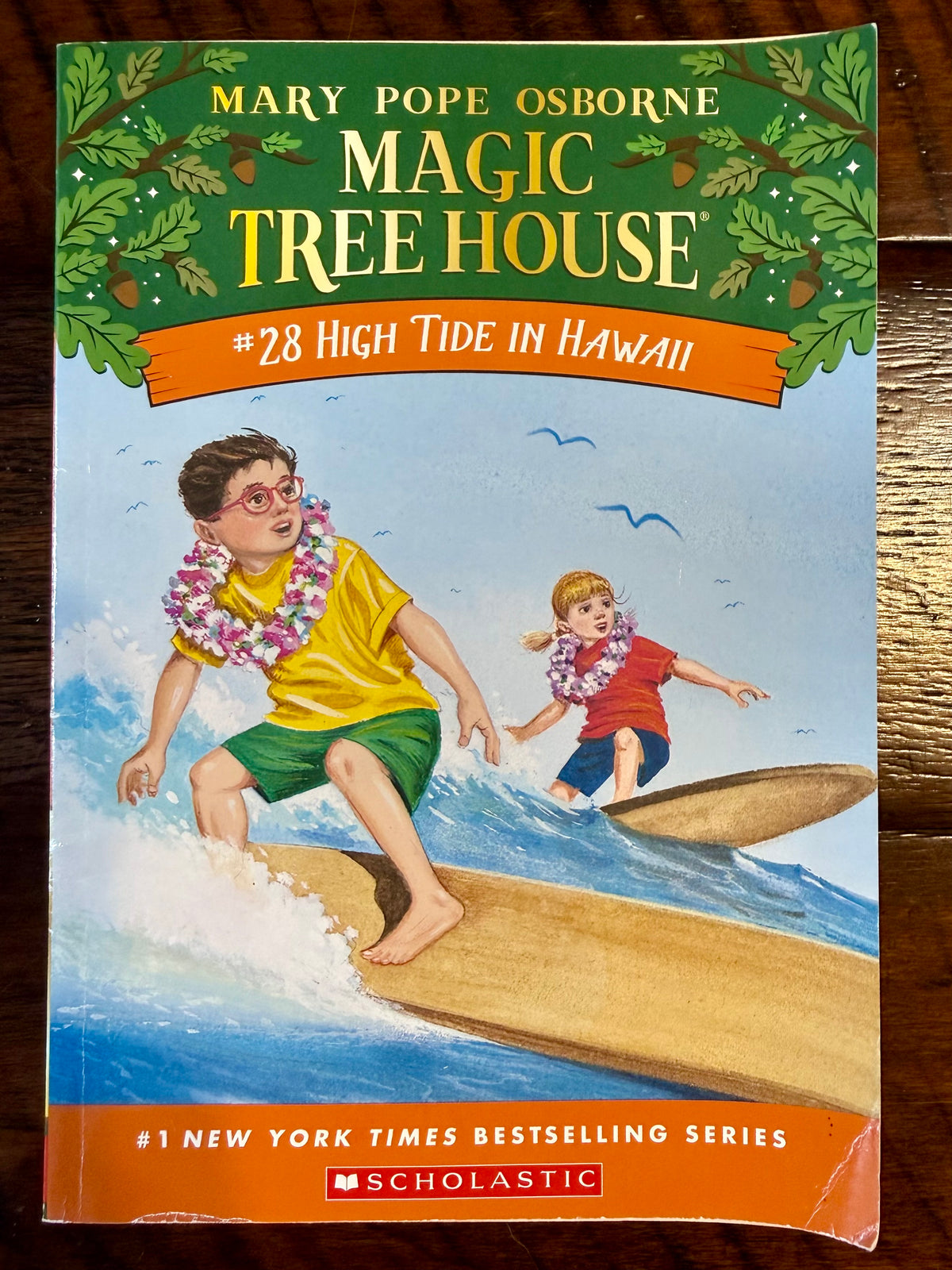 Magic Tree House series- High Tide In Hawaii