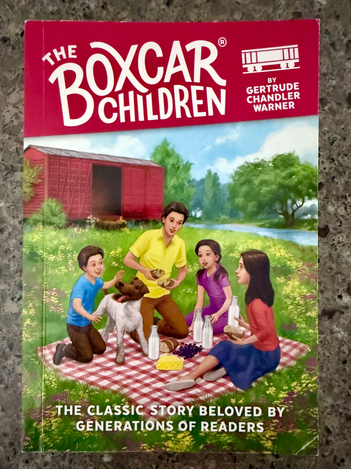 BoxCar Children: The BoxCar Children