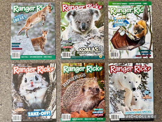Ranger Rick Magazines - 6 magazine bundle