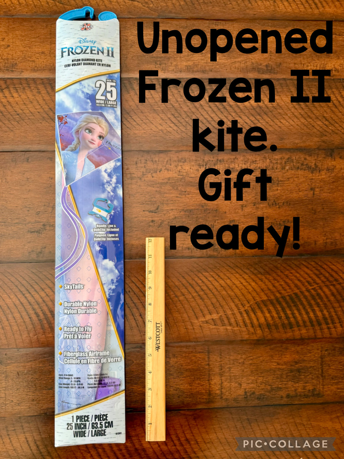 Disney Frozen 2 Kite - nylon kite, new!