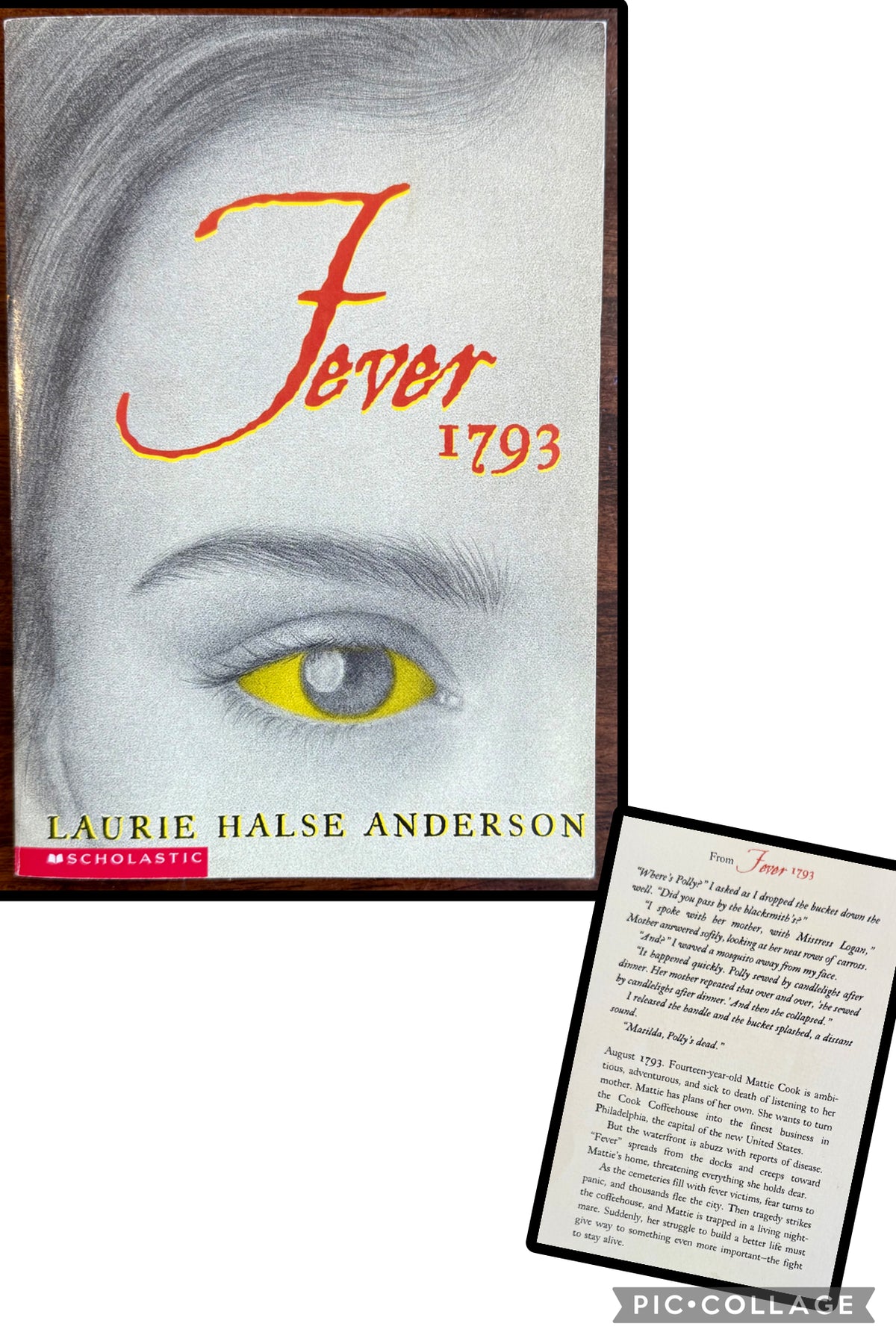 Fever 1793