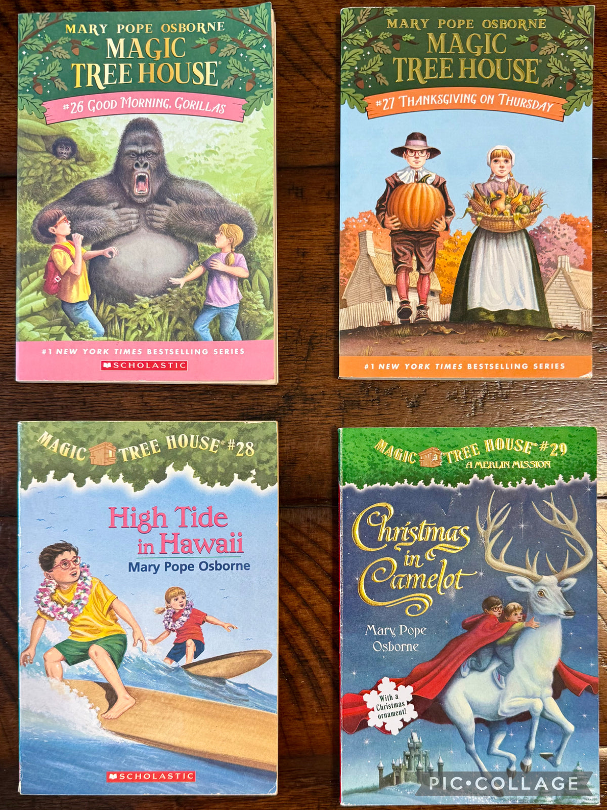Magic Tree House series - book 26, 27, 28, 29