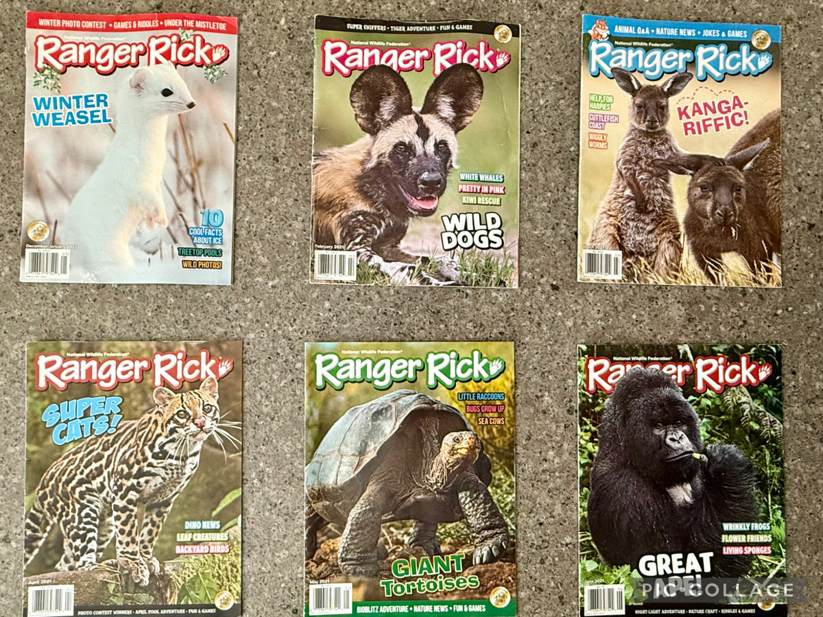 Ranger Rick Magazines - 6 magazine bundle