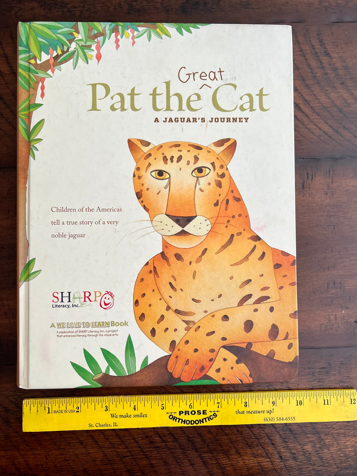 Pat the Great Cat -a jaguar's journey