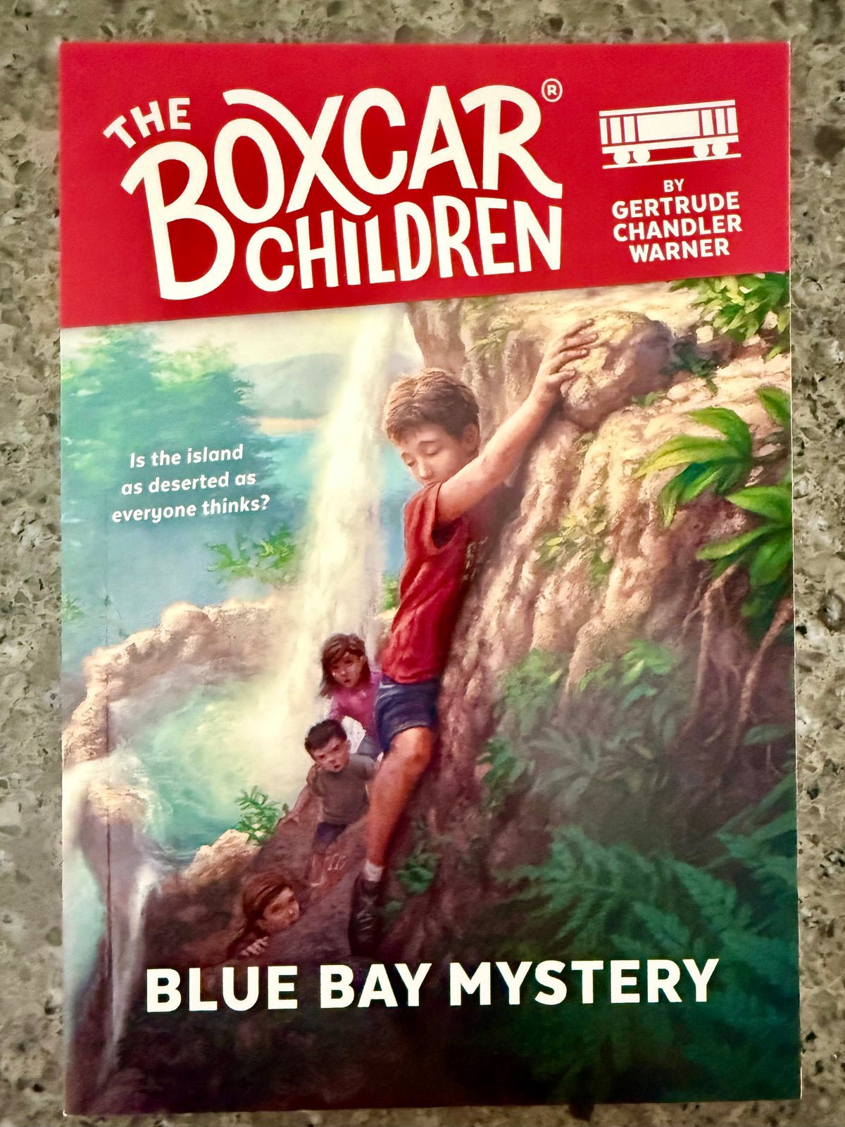BoxCar Children: Blue Ray Mystery