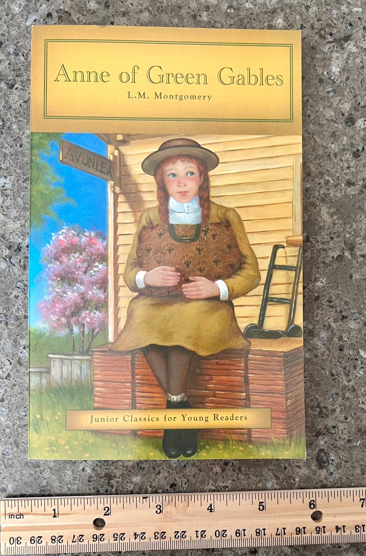 Anne of Green Gables -like new condition