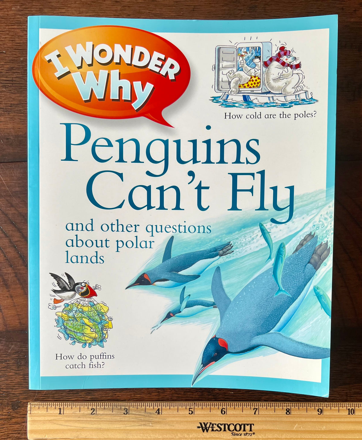 I Wonder Why, Penguins Can't Fly (and other ?s)