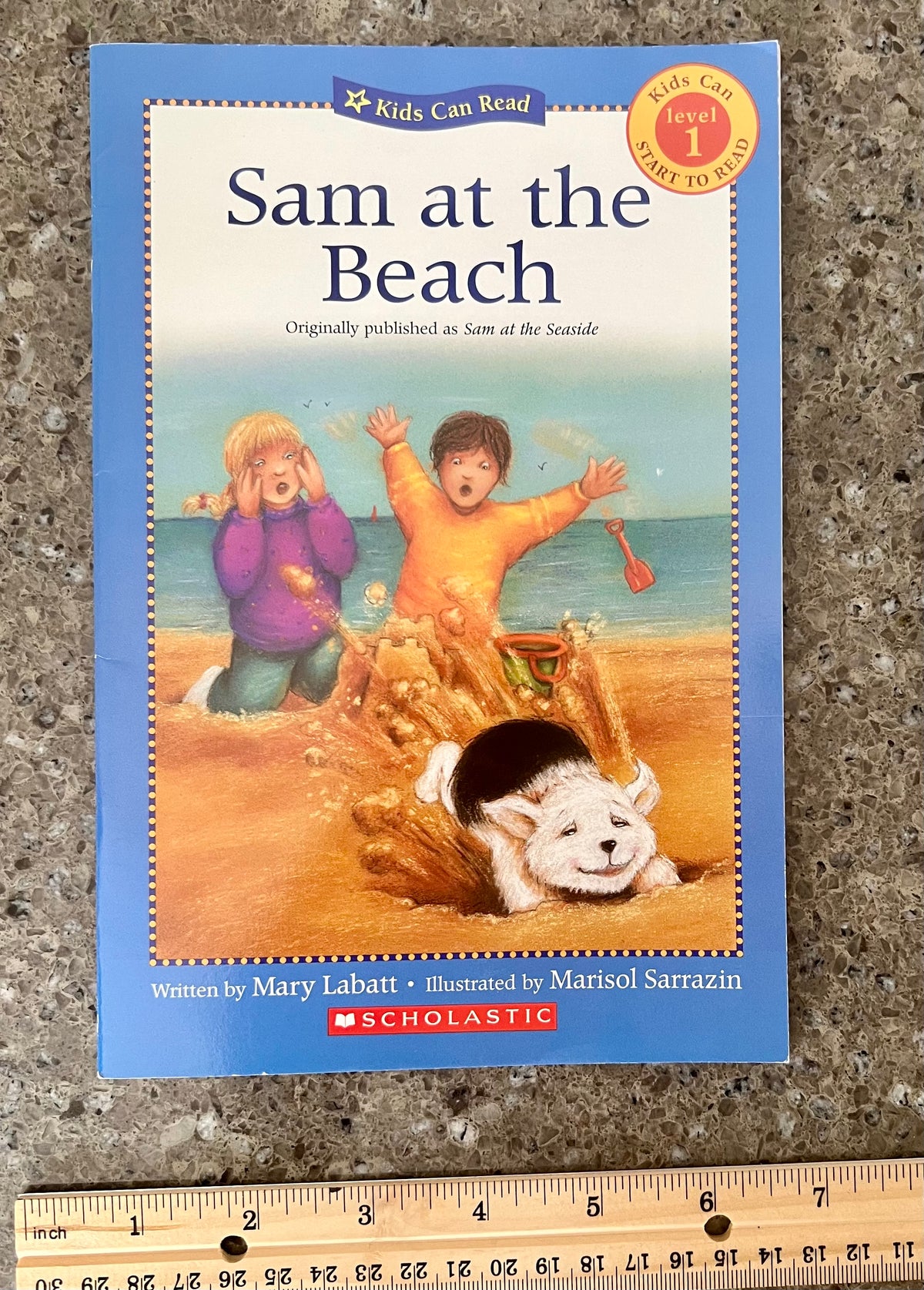 Sam at the Beach -like new condition