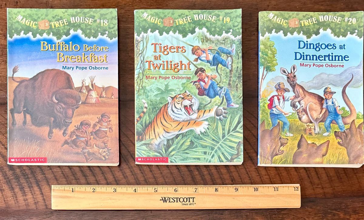 Magic Tree House series - books 18, 19, 20