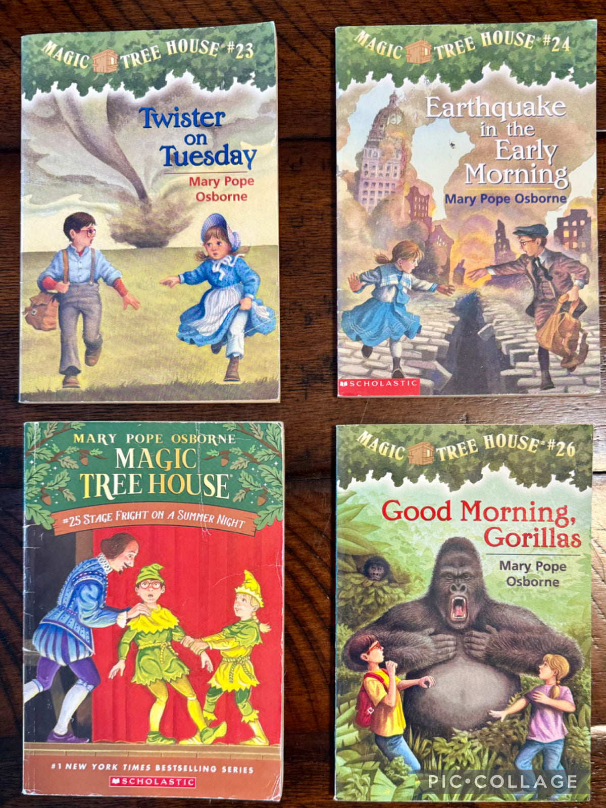 Magic Tree House series - books 23. 24, 25, 26