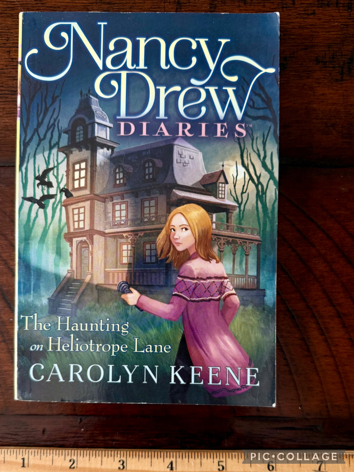Nancy Drew Diaries: The Haunting on Heliotrope