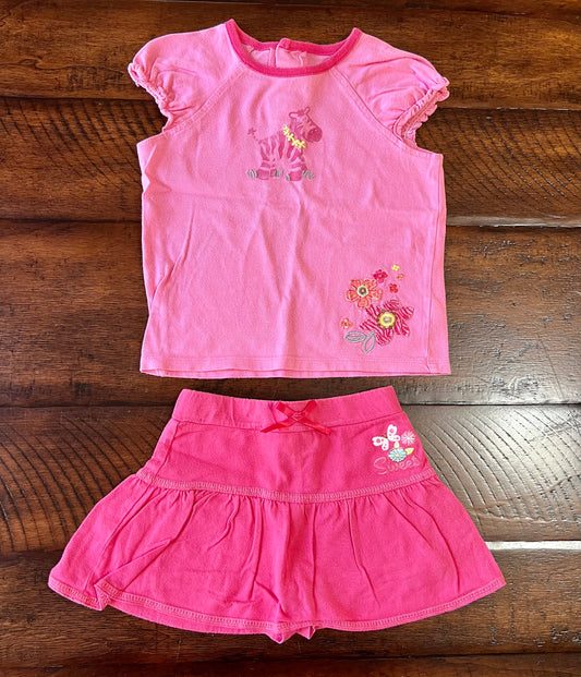 2pc Disney pink skirt & cute pink ZEBRA top - size Month - 18-24 / 24M