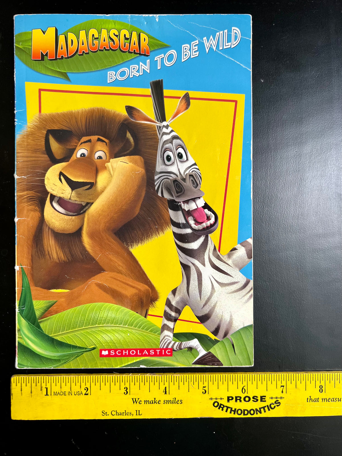 Madagascar Born to be WILD!