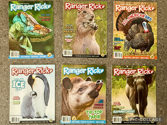 Ranger Rick Magazines - 6 magazine bundle