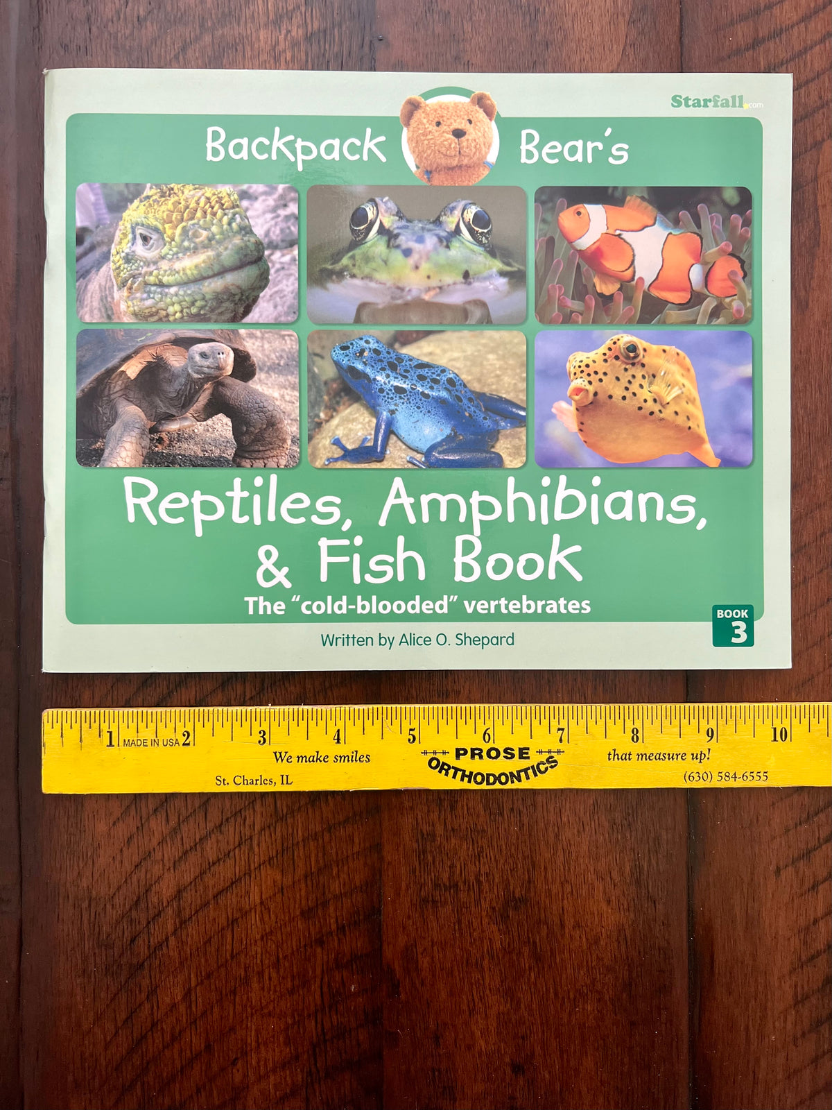 Reptiles, Amphibians, & Fish book (48 pages)