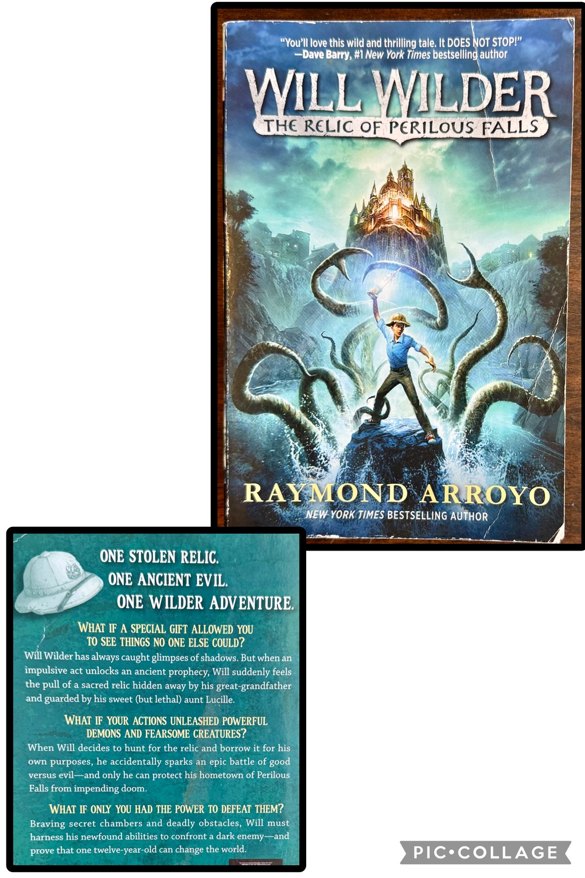 Will Wilder: The Relic of Perilous Falls