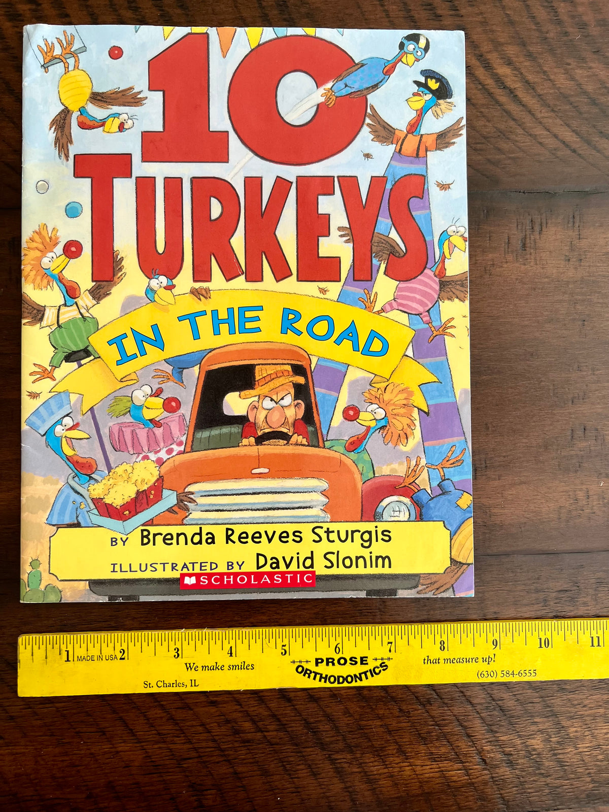10 Turkeys In the Road -quite the turkey circus
