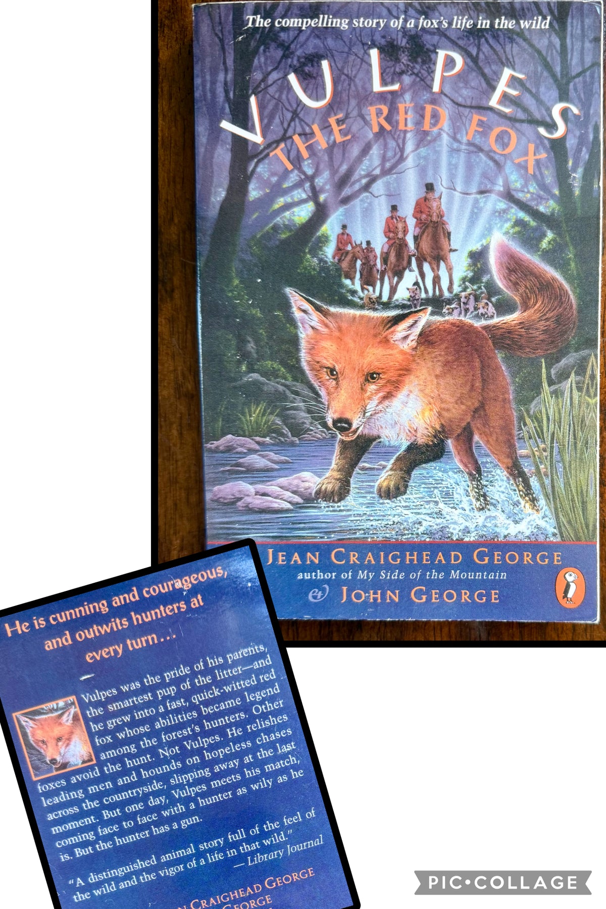Vulpes the Red Fox - animal story