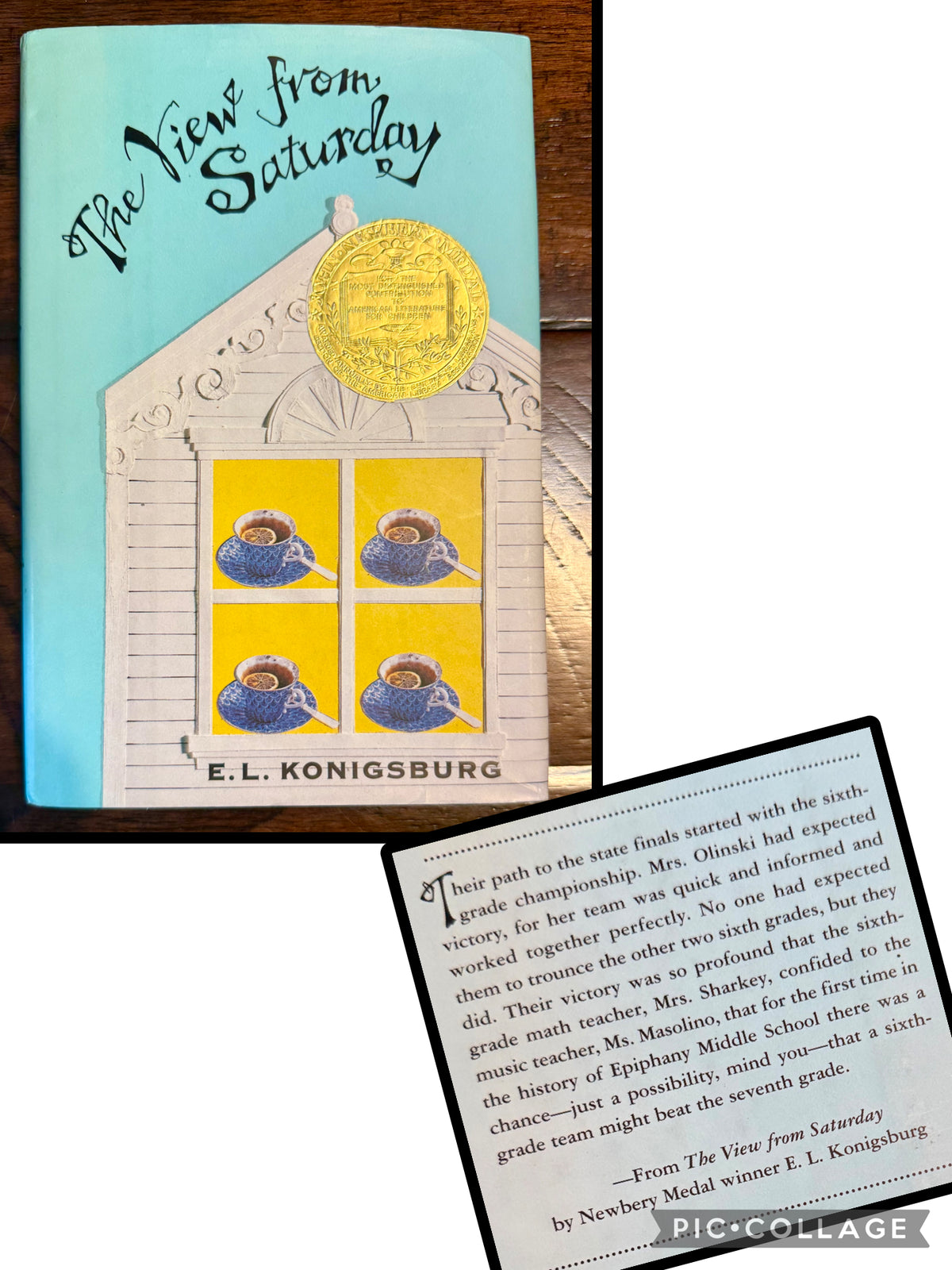 The View from Saturday - Newbery Medal winner