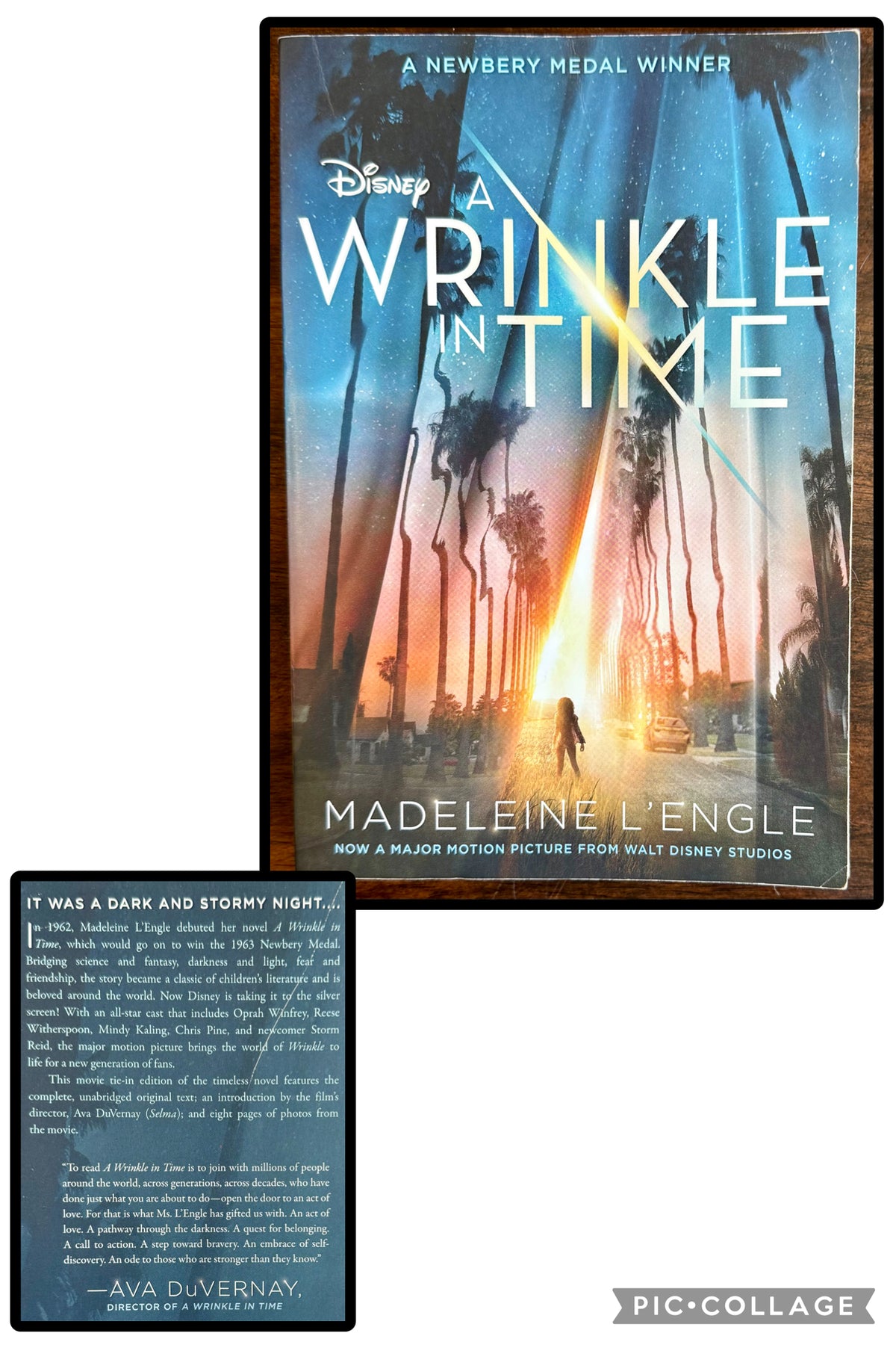 A Wrinkle in Time -Newberry Medal Winner