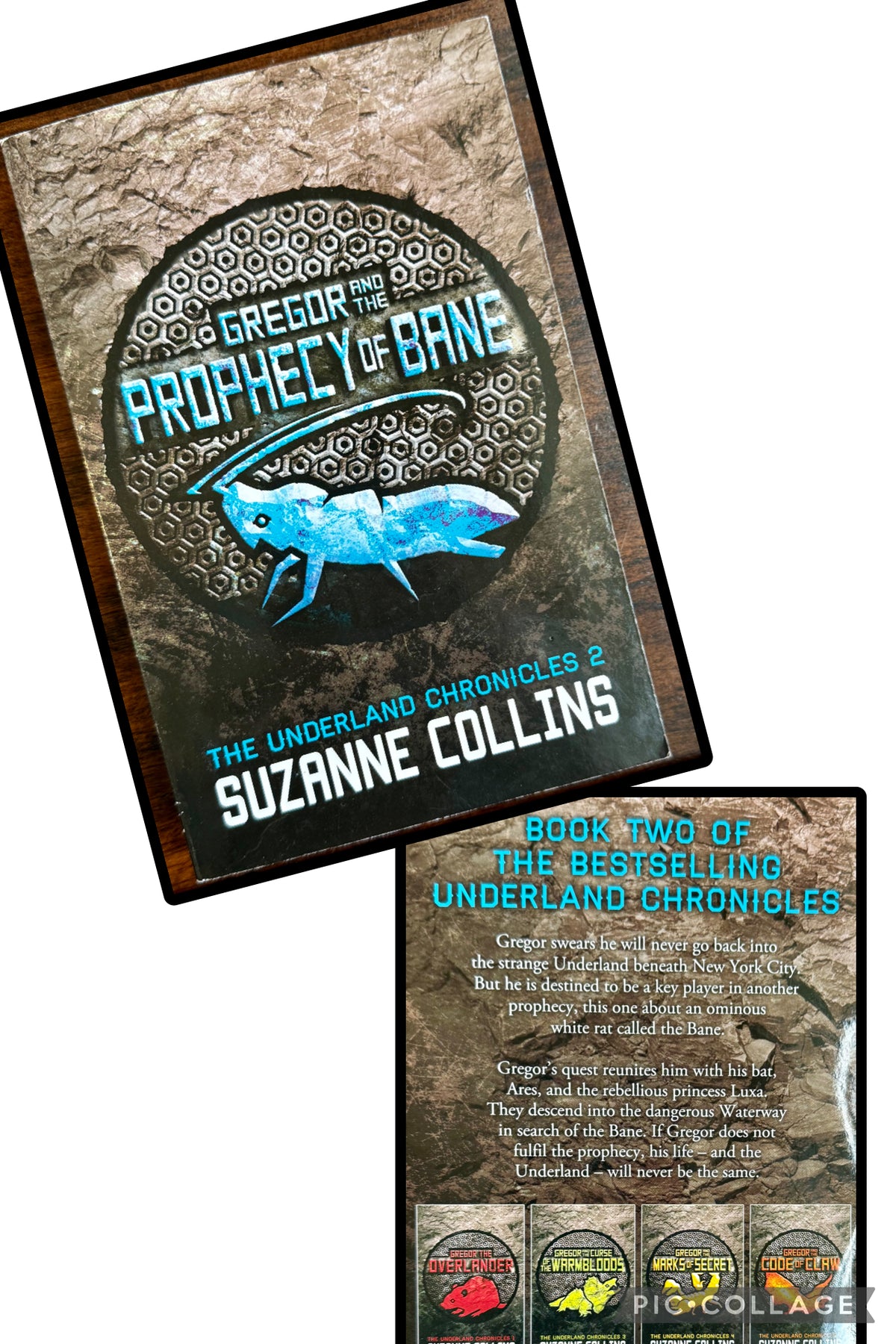 Gregor and the Prophecy of Bane (book #2)