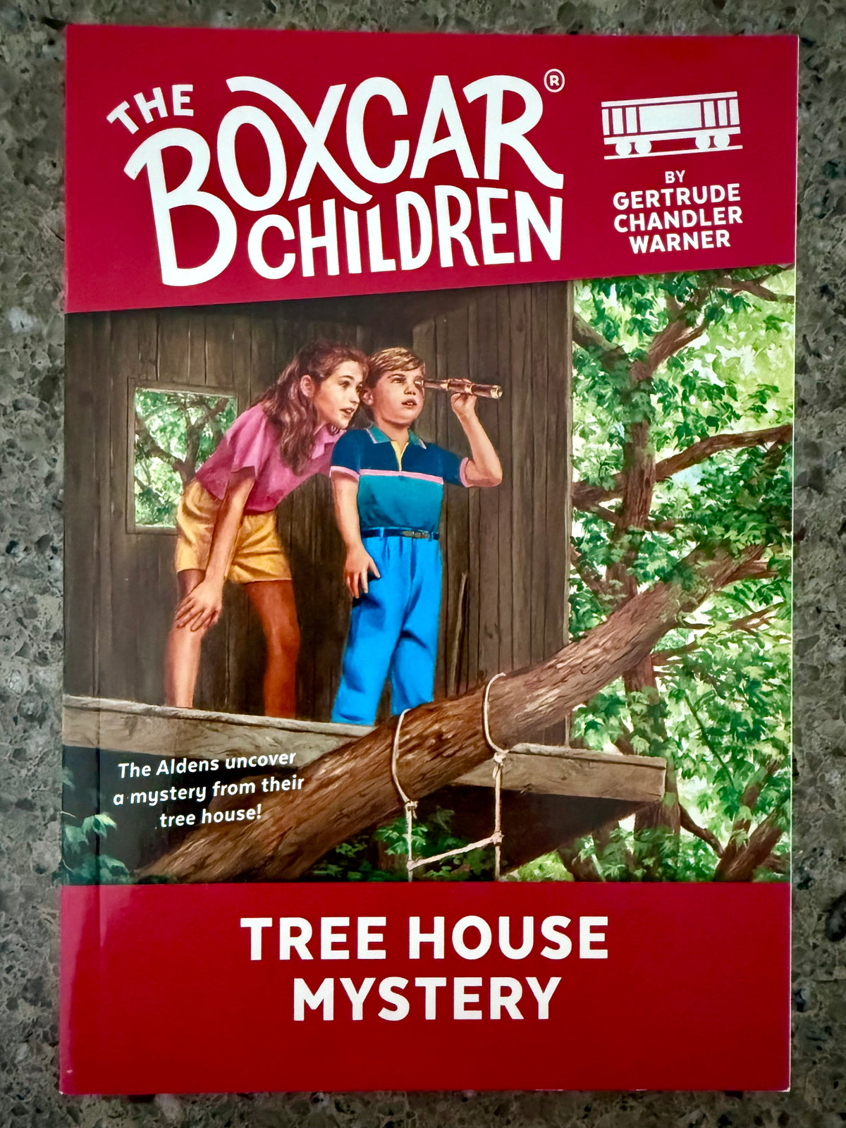 BoxCar Children: Tree House Mystery