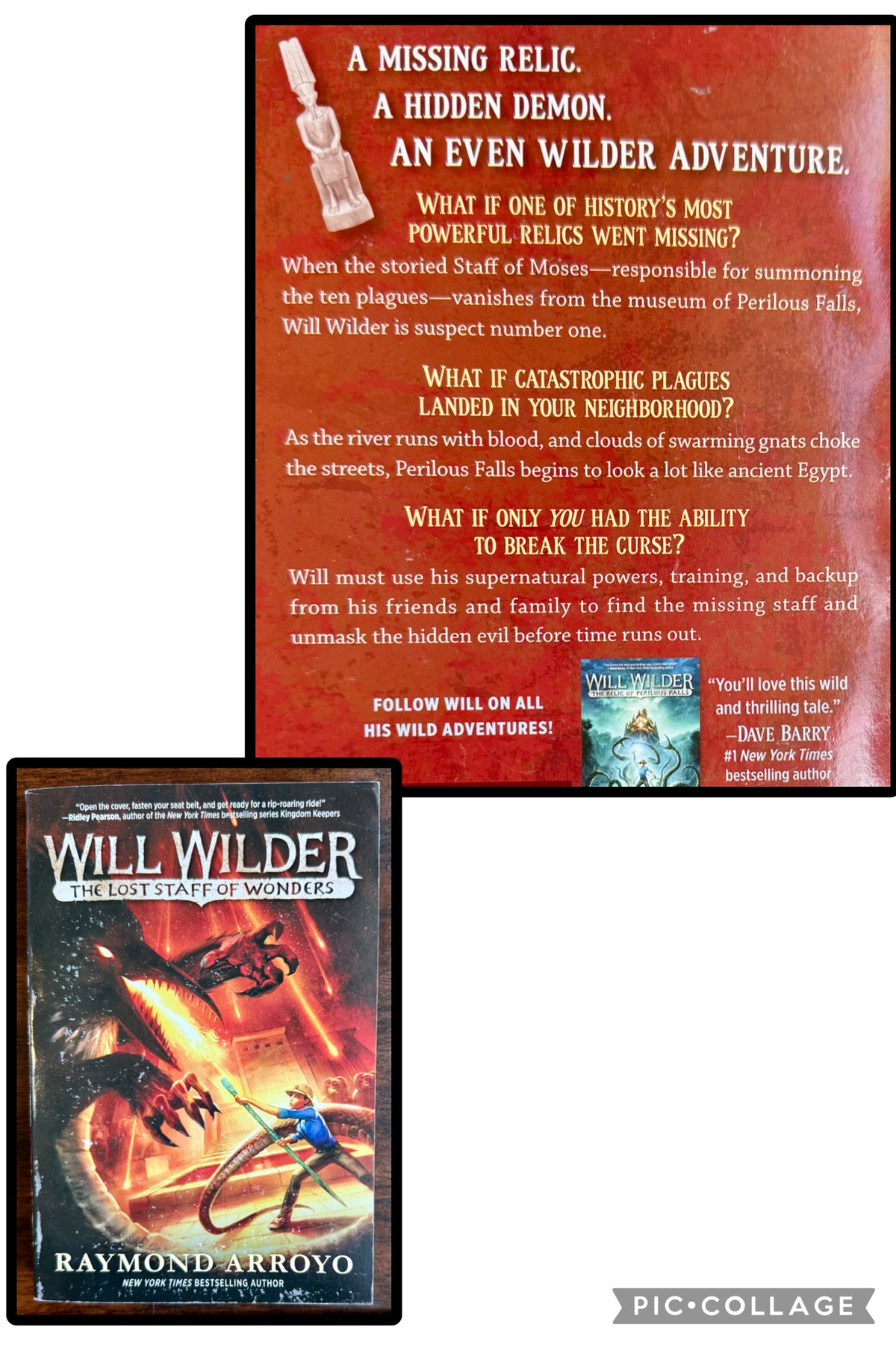 Will Wilder: The Lost Staff of Wonders