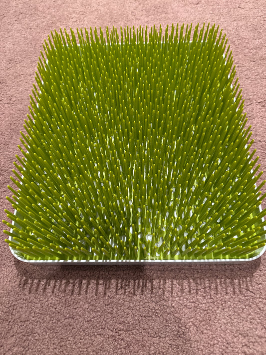 Grass Drying Rack 2 of 2
