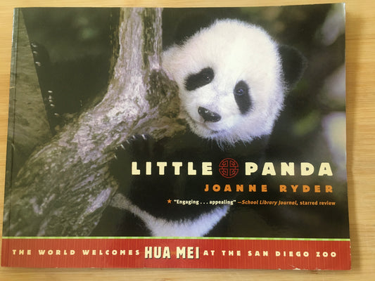 Little Panda paperback