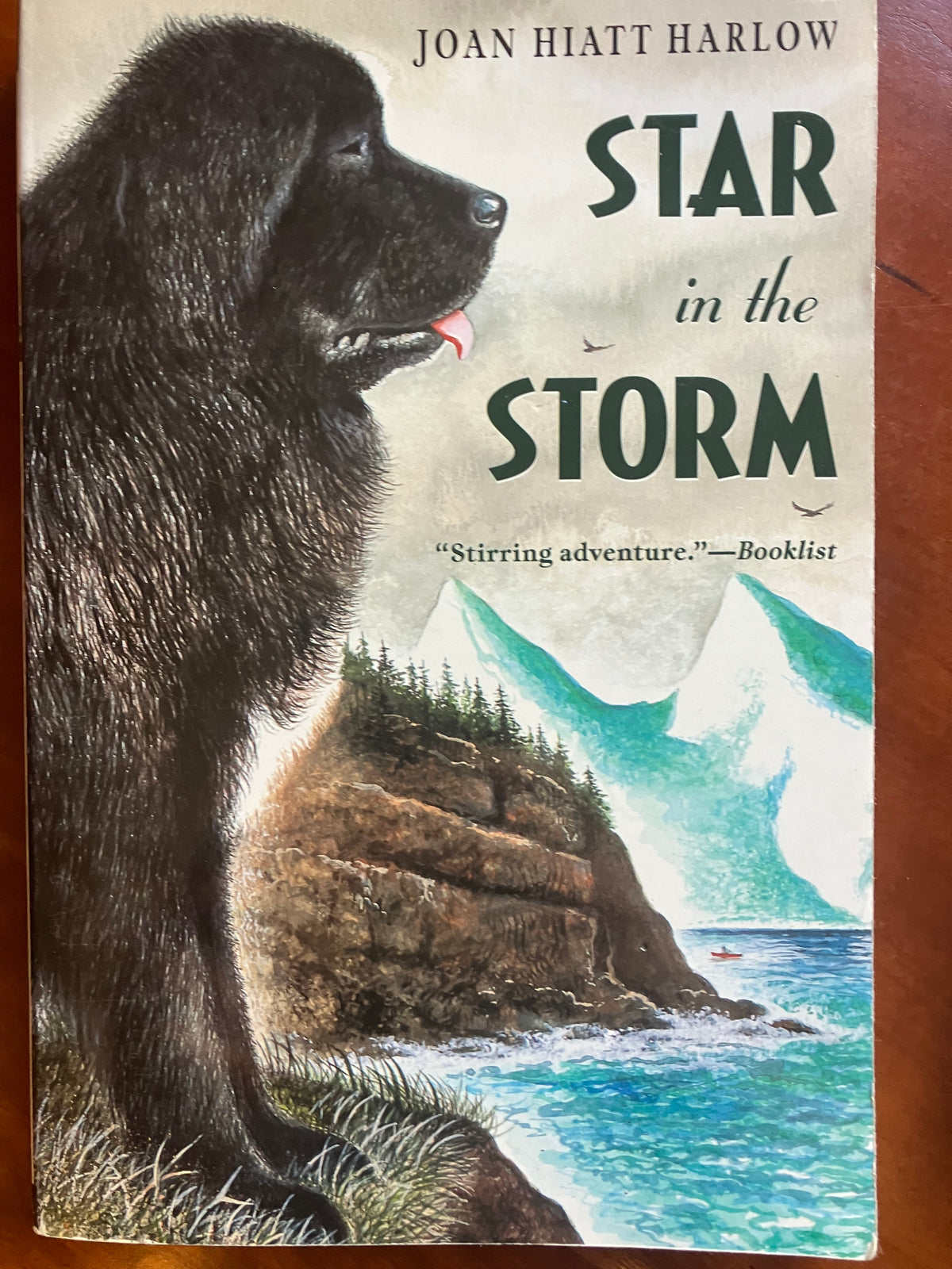 Star in the Storm Dog story